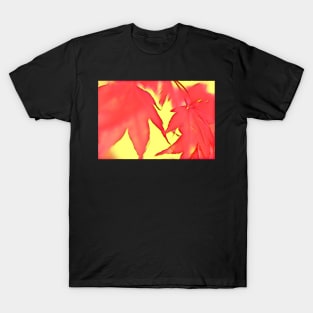 Acer Leaves with Red and Yellow T-Shirt